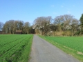 20130419_083508