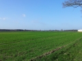 20130419_084802