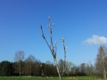 20130419_085826