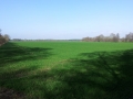 20130419_091926