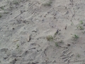 20130419_094603
