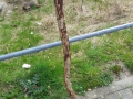 20130419_115354