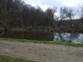 Teiche an der Bullmühle 1