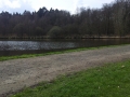 Teiche an der Bullmühle 2