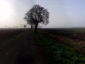 Auf nach Rulle