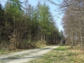 20140330_114934