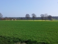 20140330_121743