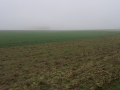 20140331_074935