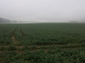 20140331_082506