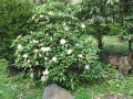 20140331_150207