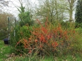 20140331_150307