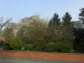 20140401_085800