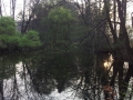 20140402_080811