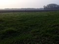 20140402_080855