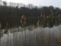 20140402_094726