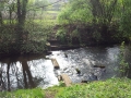 20140402_103440