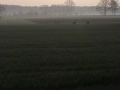 20140403_075716