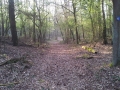 20140403_085243