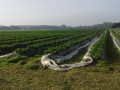 20140403_092739