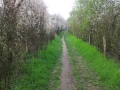 20140403_094250