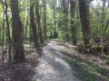 20140403_111617