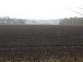 20130412_111156