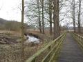 20130412_120435