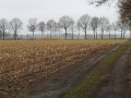 20130413_110308