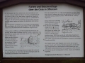20130413_142448s