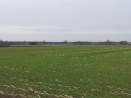 20130414_115331