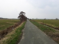 20130416_134755