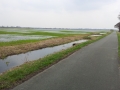 20130416_140301
